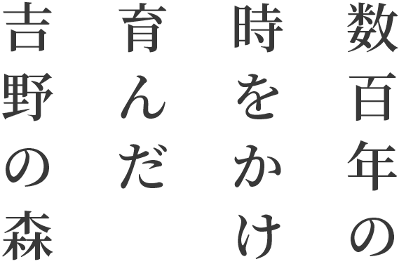 数百年の時をかけ育んだ吉野の森